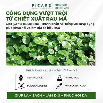 Alternative view of Sữa rửa mặt tạo bọt Rau má giúp làm sạch sâu và giảm bã nhờn Pax Moly Perfect Cica Foam Cleanser 100ml